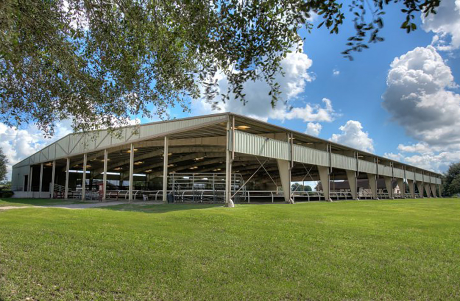 Alachua County Agriculture and Equestrian Center