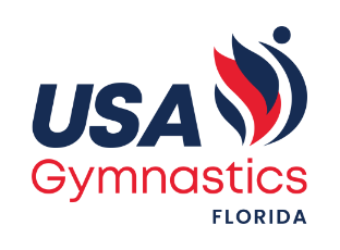 State Championship Lightning Gymnastics